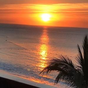 Meet your Posher, Sharron